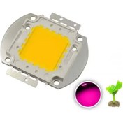 Resim TIEE 50W Power Led Full Spectrum Grow Led - Bitkiler için 220 v AC 