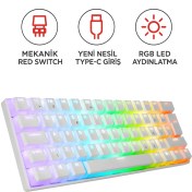 Resim Everest Brıar Type-C Bağlantılı Rgb Puding Tuşlu Mekanik Red Switch Türkçe Q Gaming Oyuncu Klavyesi Beyaz 