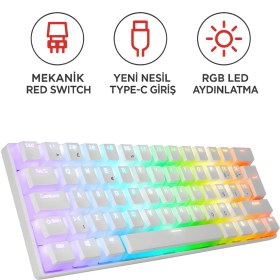 Resim Everest Brıar Type-C Bağlantılı Rgb Puding Tuşlu Mekanik Red Switch Türkçe Q Gaming Oyuncu Klavyesi Beyaz 