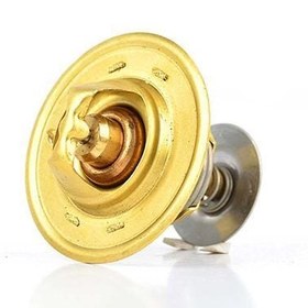 Resim BSG 30-125-008 | Termostat 88Cc / Kopılyalı 