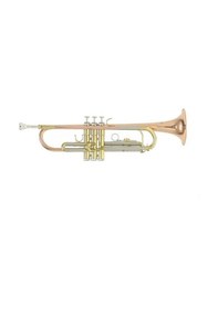Resim Roy Benson TR-202G Bb Trompet 