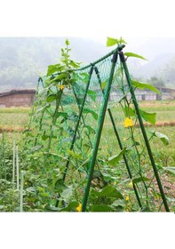 Resim Lebihmurah 2182 Büyüt Çit-1 X Kafes Ağ-yeşil 