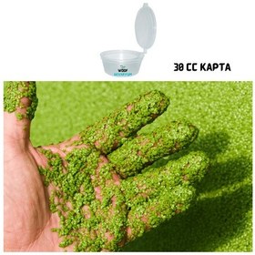 Resim Woof Akvaryum Su Mercimeği Kapta Lemna Minor Su Üstü Bitkisi 30 Cc 