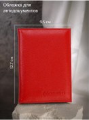 Resim Barsalini Land Araç Belgeleri İçin Kapak 240648838 