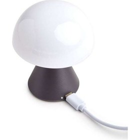 Resim Lexon Mina Lh60Mx Led Lamba Metalik Gri Çok Renkli 