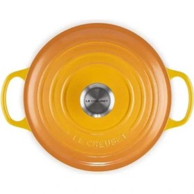 Resim Döküm Demir Yuvarlak Güveç Nektar, 24CM 