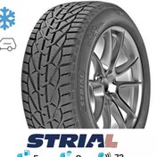 Resim Strial 215-50R17 95V XL WİNTER 