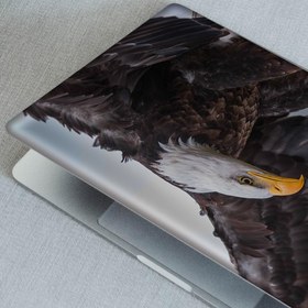 Resim Kartal Notebook Sticker, Laptop sticker,, Hp Sticker, Asus Sticker, 15.6 inç Sticker 