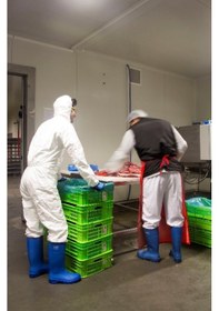 Resim Pollyboot Alfa Iş Güvenlik Çizmesi 