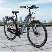 Resim Asvıva B14n 27,5'' Hollanda Orta Motorlu Elektrikli Bisiklet ... 