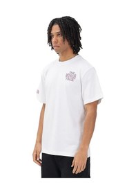 Resim The North Face Drip Logo Relaxed Graphic Erkek Beyaz Outdoor T-shirt Nf0a8gabfn41 