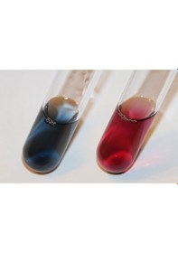 Resim Eriochrome Black T, Solüsyon, 1000 ML 