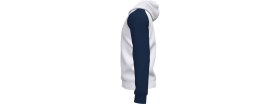Resim Joma Erkek Futbol Eşofman Üstü Academy Iv Zip-Up Hoodie 101967.203 