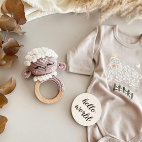 Resim Amigurumi Curly Sheep Box - Çıngırak 