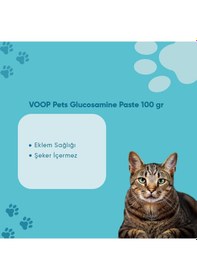 Resim Voop Pet Glucosamine Paste Kediler İçin Eklem ve Kas Desteği 100 G 