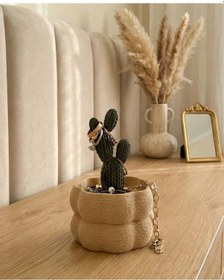 Resim Elana Design Kaktüs Tasarımlı Takı Kutusu Yüzük, Bileklik Ve Kolye Düzenleyici Dekoratif Saklama Kutusu Bej 