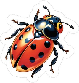 Resim 10x10 Cm Uğur Böceği Sticker Laptop Kask Araba Motor Dolap Masa Çok Renkli 