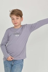 Resim Erkek Çocuk Baskılı Tişört Gri 