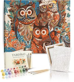 Resim Tabdiko Sayılarla Boyama Seti 40 x 50 cm Tuval Şasesine Gerili Baykuşlar 