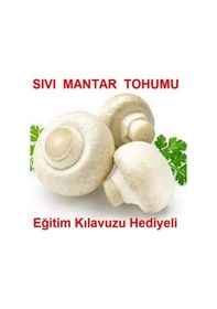 Resim 100 Ml Beyaz Şapkalı Kültür Mantarı Miseli Mantar Tohumu 