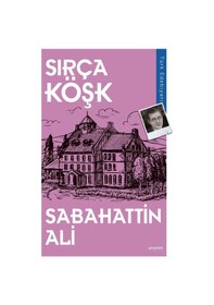 Resim Değirmen - Sabahattin Ali (553491030) 