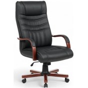 Resim Kuda Makam Koltuğu Siyah 