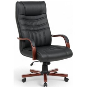 Resim Kuda Makam Koltuğu Siyah 