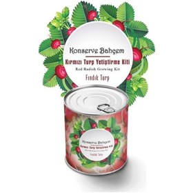 Resim Yta Grup Konserve Bahçem Evde Konservede Fındık Turp Yetiştirme Kiti 