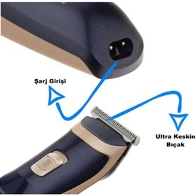 Resim kar-bul Saç Sakal Traş Makinesi + Turbo Vücut Tıraş Makinası Dınglıng Rd-6005 