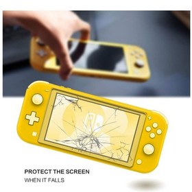 Resim Nintendo Switch Lite Temperli Cam Ekran Koruyucu 9H 