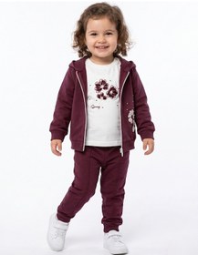 Resim Toontoy Kids Toontoy Kız Çocuk 3'lü Eşofman Takımı Uzun Kollu Bisiklet Yaka Nakışlı T-shirt - Kapüşonlu Fermuarlı Hırka- Beli Paçası Lastikli Eşofman Altı 25042 Mor 