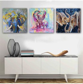 Resim Kanvas Tablo Fil 3 Parça Set 50 