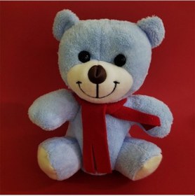 Resim Mavi Peluş Ayı Tdrtr Sezonsuz 