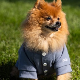 Resim Gri Köpek Kolej Ceketi - "Cool" Sloganlı - 6 / Mavi/Gri 