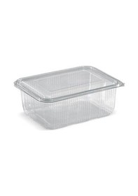 Resim Plastik Saklama Kabı 2000 G 100 Adet Kapaklı Sızdırmaz Kap 