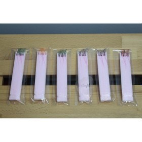 Resim Canpari El Yapımı 10 Iğneli Çapari ( 5 Adet ) 