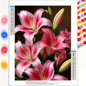 Resim 1 Takım 5D Elmas Boyama Seti - Yuvarlak Taşlı Pembe & Beyaz Zambaklar Çiçek Mozaik Sanatı, Kalp Şeklinde Merkezli Canlı Renkler (Pembe, Beyaz, Yeşil, Sarı, Kahverengi) - Ev Dekoru için Ramasız DIY Tam Rhinestone Resim, Noel, Anneler Günü, Doğum Günü, Yıl Dönümü Hediyesi, Aile Partisi Etkinliği, Önceden Baskılı Tuval ve Renk Kodlu Taytlar Dahil, Kolay Anlaşılır Talimatlar, Mini Elmas Boyama Kitleri ile Diyamant Art Dergiler ve Defter Kutuları 