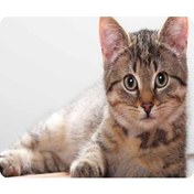 Resim Vkemall Kedi Desenli Kaymazsız Mouse Pad - 18x22cm Yumuşak Dokuma Oyun Ve Çalışma İçin Pc/laptop/macbook Uyumlu Diğer 