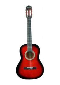 Resim Lichtenberg Cg836 Rds Klasik Gitar Taşıma Çantalı 