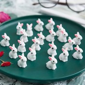 Resim 60/20 adet Minyatür Paskalya Tavşanı Figürü, Mini Reçine Tavşan Süsü, DIY Minyatür Peyzaj Mini Ev Dekoru için, Ev Oda Oturma Odası Ofis Dekoru, Noel Sevgililer Günü Yeni Yıl Hediyesi 