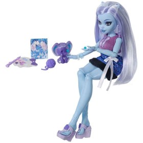 Resim Monster High Güzellik Sırları Abbey JHK44 