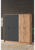 Resim AE-3059 Diva 5 Kapaklı Çok Amaçlı Askılıklı Raflı Bölmeli Atlantik Çam Ve Antrasit Gardırop 180 CM 