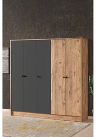 Resim AE-3059 Diva 5 Kapaklı Çok Amaçlı Askılıklı Raflı Bölmeli Atlantik Çam Ve Antrasit Gardırop 180 CM 