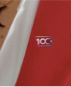 Resim Herşey Nota 100. Yıl Rozeti Kırmızı Metal Yaka Rozeti 1 Adet kırmızı 