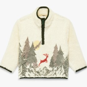 Resim Erkek Bebek Yarım Fermuarlı Uzun Kollu Dik Yaka Polar Sweatshirt 