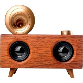 Resim Zero Land Techmrt Gramafon Nostaljik Radyo Yüksek Ses Kalitesi USB Tf Kart Aux 