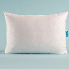 Resim 255 Tc Kumaş 5 Gıdık Kaz Tüyü Yastık 50x70 Cm 