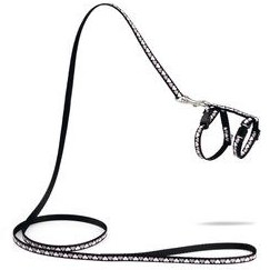 Resim Beeztees Yavru Kedi Göğüs Tasması ve Gezdirme Kayışı 120cm, Siyah, 16-25cm Boyun, 23-36cm Göğüs 