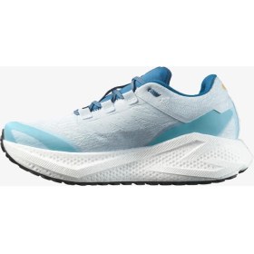 Resim Salomon Aero Glide 3 GRVL Erkek Koşu Ayakkabısı 