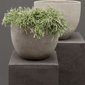 Resim Atelier Vierkant U Saksı - U50 